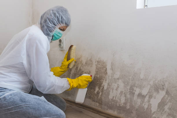 Best Crawl Space Mold Removal  in Palm City, FL