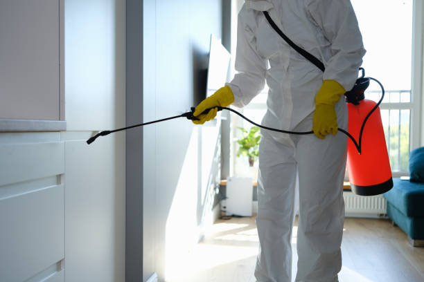 Best Emergency Mold Removal  in Palm City, FL