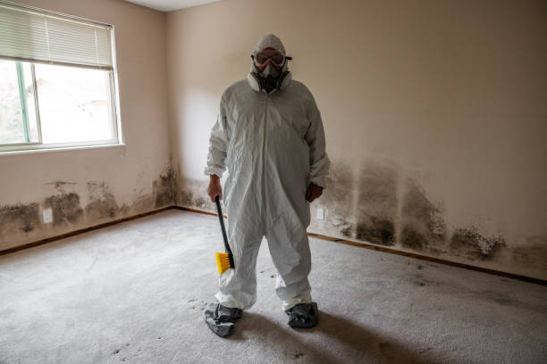 Best Certified Mold Removal  in Palm City, FL